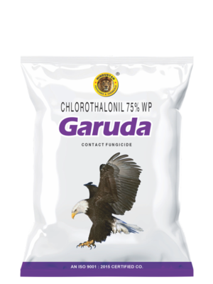 garuda